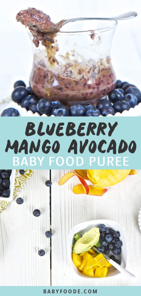 Graphic for Post - Blueberry, Mango and Avocado Baby Food Puree, Image is of a clear cup with the chunky puree inside, with a spoon resting on top of the lid as well as an image of a spread of produce on a white background.