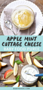 Apple Mint With Cottage Cheese Baby Food Puree 6 M Baby Foode