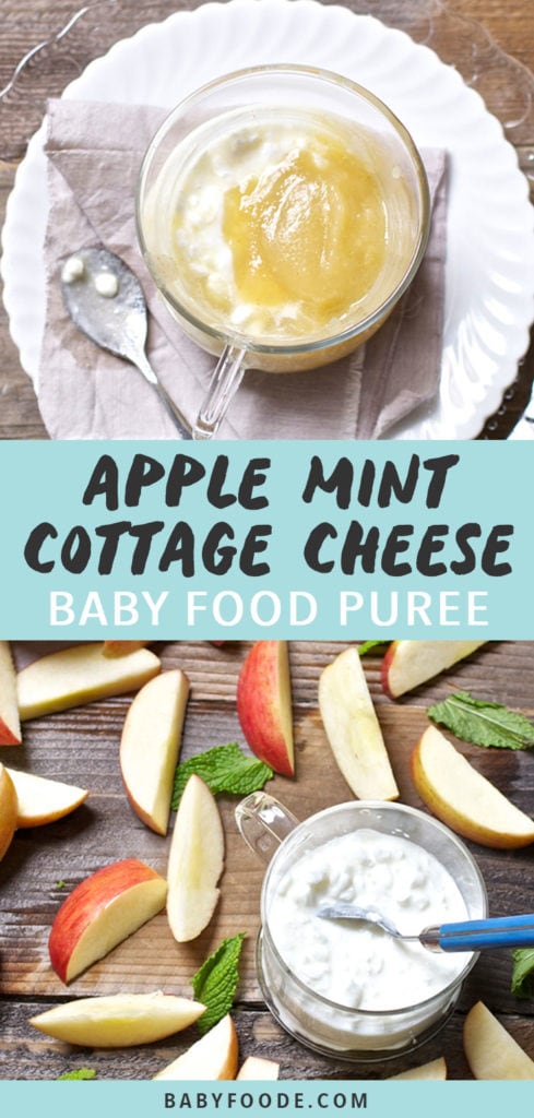 Graphic for post- apple mint cottage cheese baby food puree. Clear bowl filled with apple puree and cottage cheese and another image of a spread on a wooden board of apples and a bowl of cottage cheese.