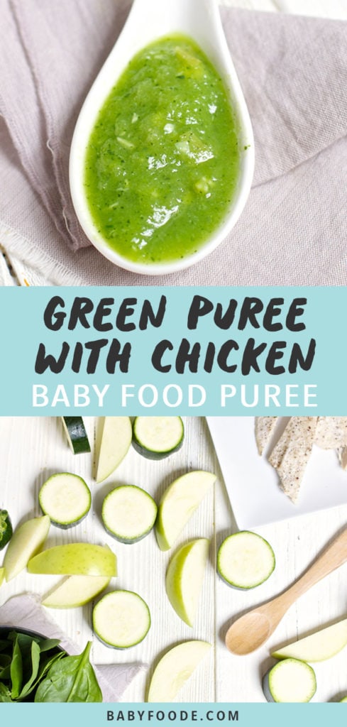 Graphic for post - green puree with chicken baby food puree with images of a spoon with puree inside as well as a spread of veggie and chicken.