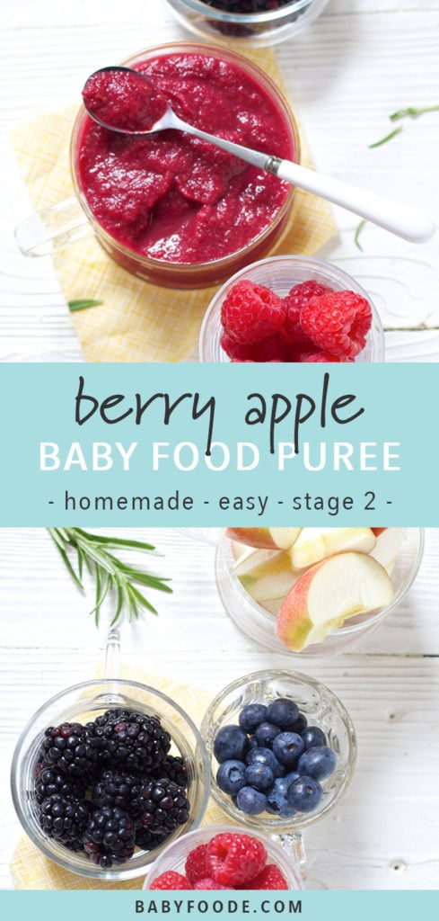 Graphic for post - Berry Apple Baby Food Puree - homemade - easy - stage 2. Images are of a spread of glass bowls filled with produce and a homemade baby food puree as well as an image of a spread of price.