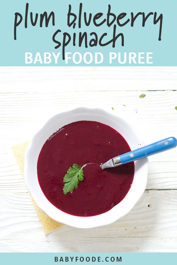Graphic for post - Plum Blueberry Spinach Baby Food Puree with and image of a white bowl filled with this thick purple puree.
