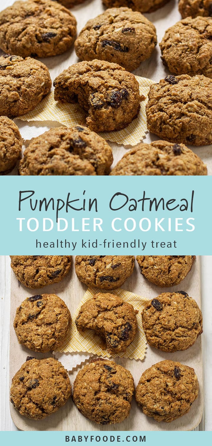 Pumpkin + Oatmeal Toddler Cookies Baby Foode