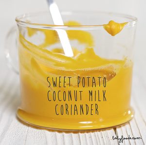 Sweet Potato + Coconut Milk with Coriander Baby Food Puree