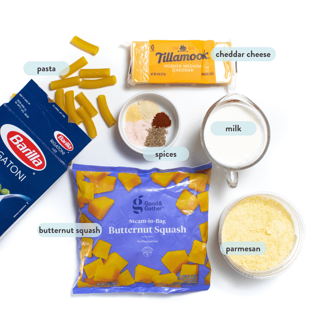 Spread of ingredients against a white background for butternut squash macaroni and cheese – pasta, spices, milk, Parmesan, butternut squash in a bag, and a block of cheese.