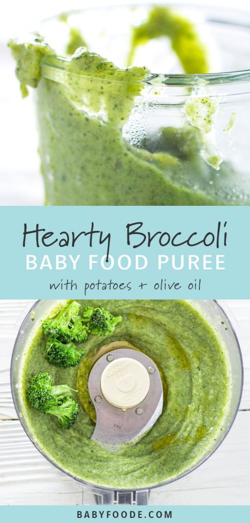 Broccoli baby food puree in a jar and in a food processor.