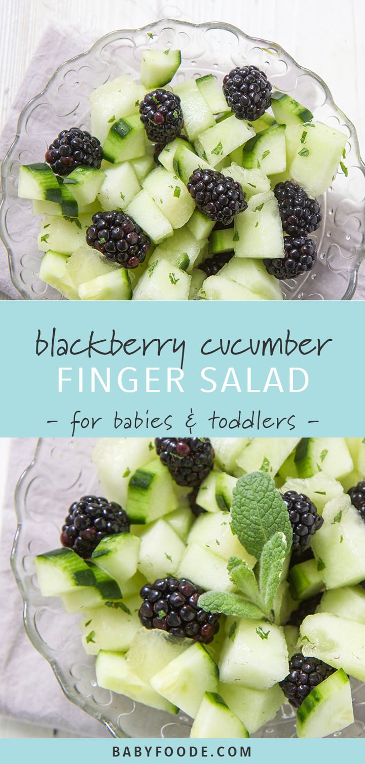 Blackberry + Cucumber + Melon Toddler Finger Salad - Baby Foode