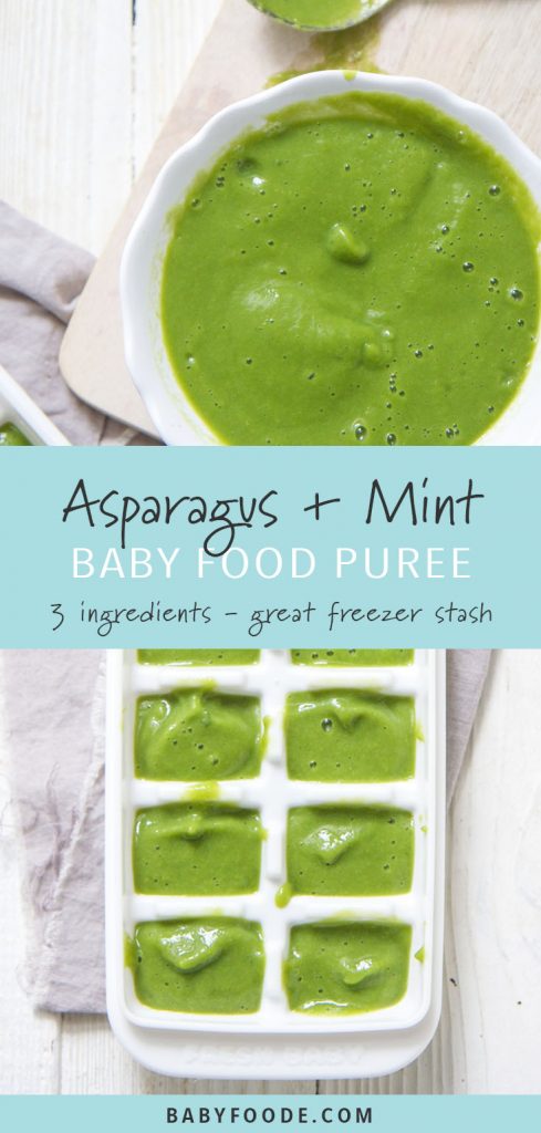 A bowl of asparagus mint stage one baby food puree, and puree in an ice cube tray for freezing.
