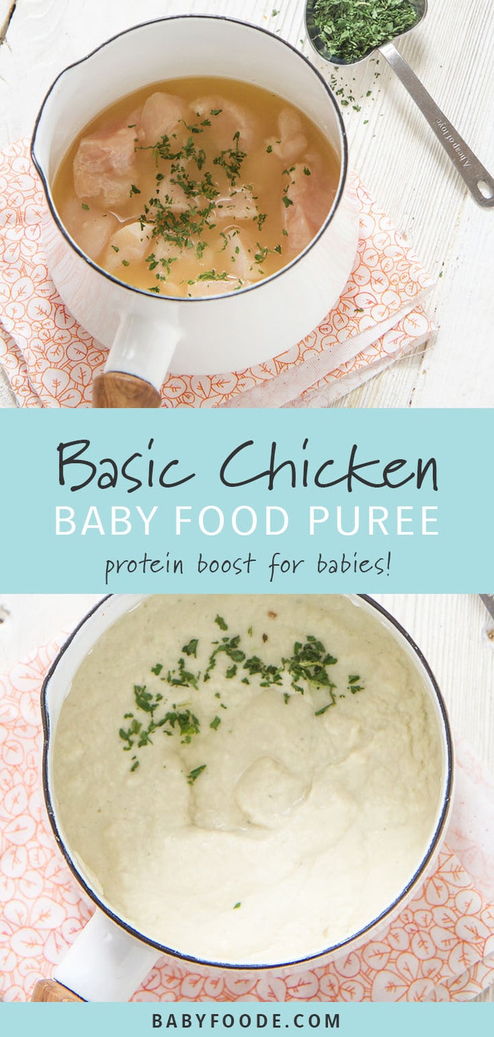 Basic Chicken Baby Food Recipe (6 months Stage 1) Baby Foode