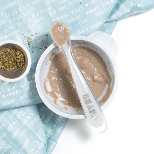 Basic Beef Baby Food Puree (6+ Months) Baby Foode