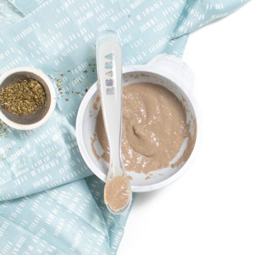 Basic Beef Baby Food Puree (6+ Months) Baby Foode