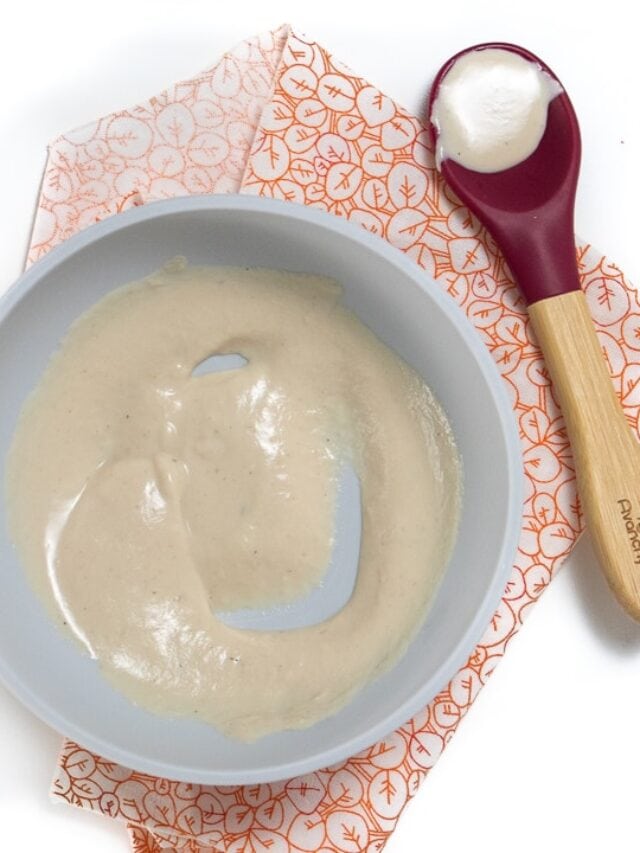 Basic Chicken Baby Food Recipe - Baby Foode