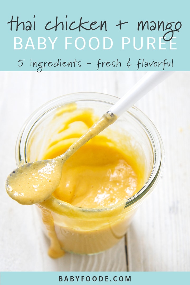 Graphic for post - Thai chicken + mango baby food puree - 5 ingredients, fresh & flavorful with an image of a clear bowl filled with the baby food puree. 