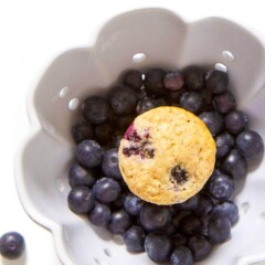 blueberry muffin in a bowl full of blueberries.