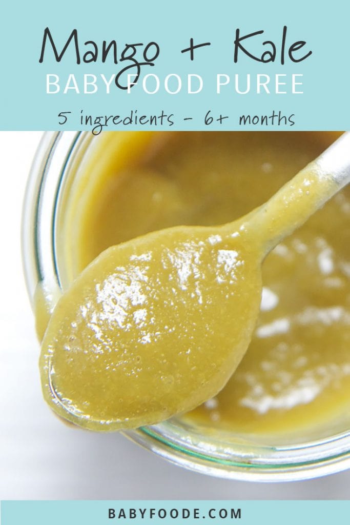 Mango + Kale Baby Food Puree with Ginger Baby Foode
