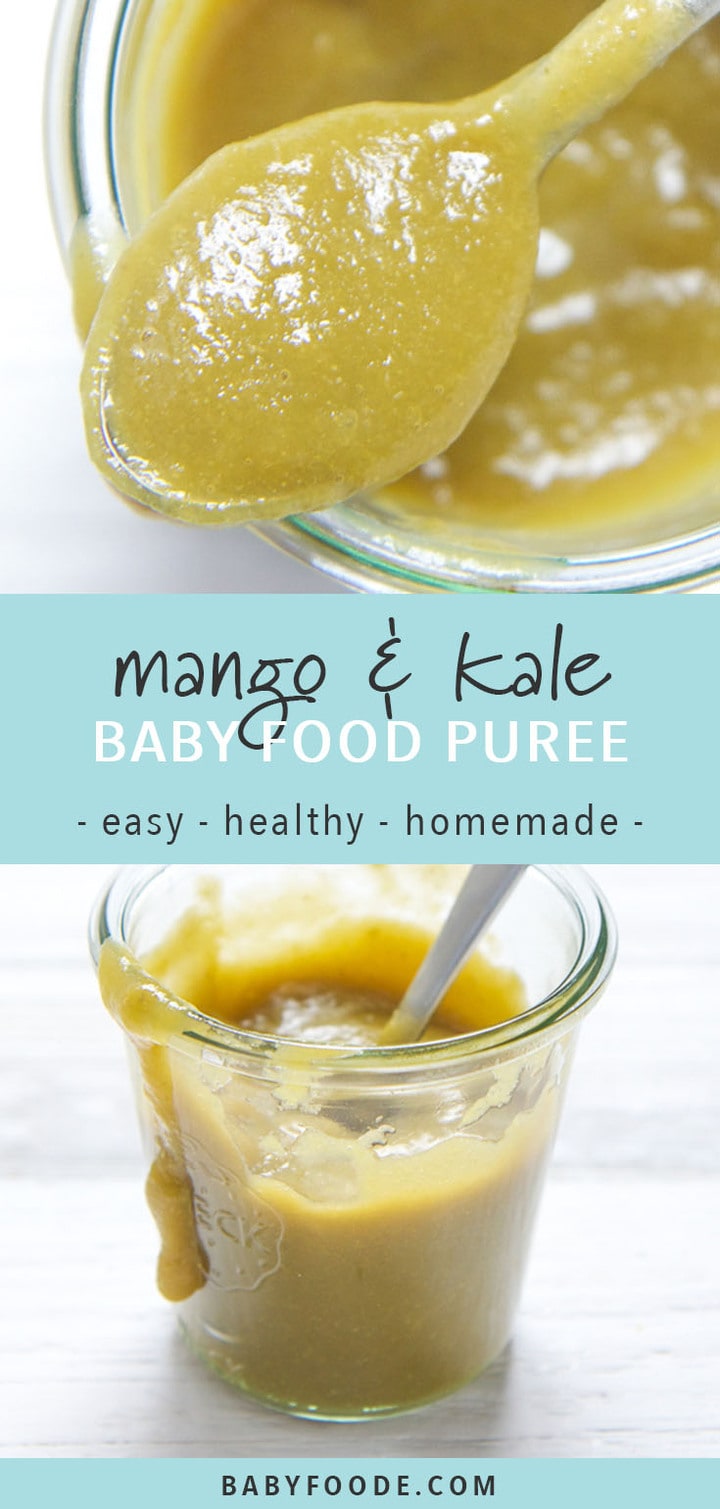 Mango + Kale Baby Food Puree with Ginger Baby Foode
