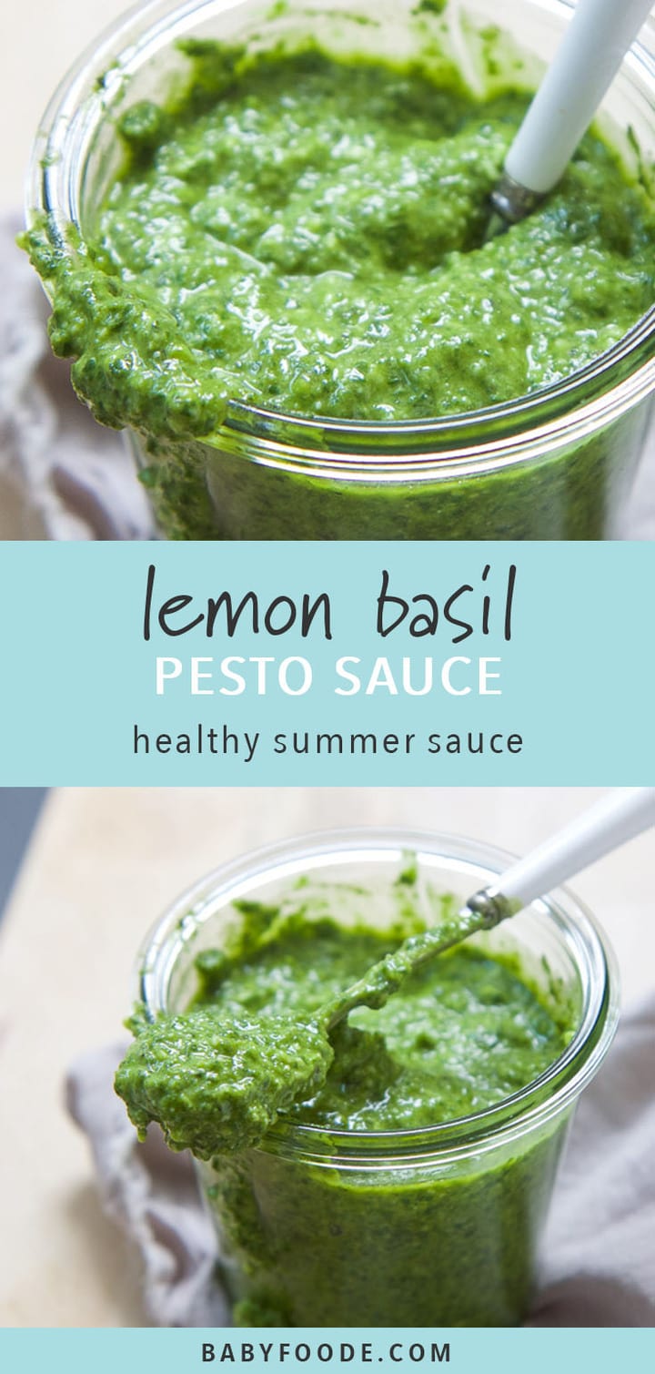 5Minute BasilLemon Pesto (No Nuts!) Baby Foode