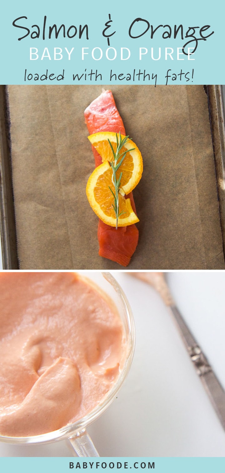 Salmon + Orange Baby Food Puree (Perfect food for Baby!) Baby Foode