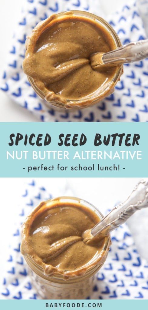 Pinterest image for spiced seed butter, a homemade nut butter alternative.
