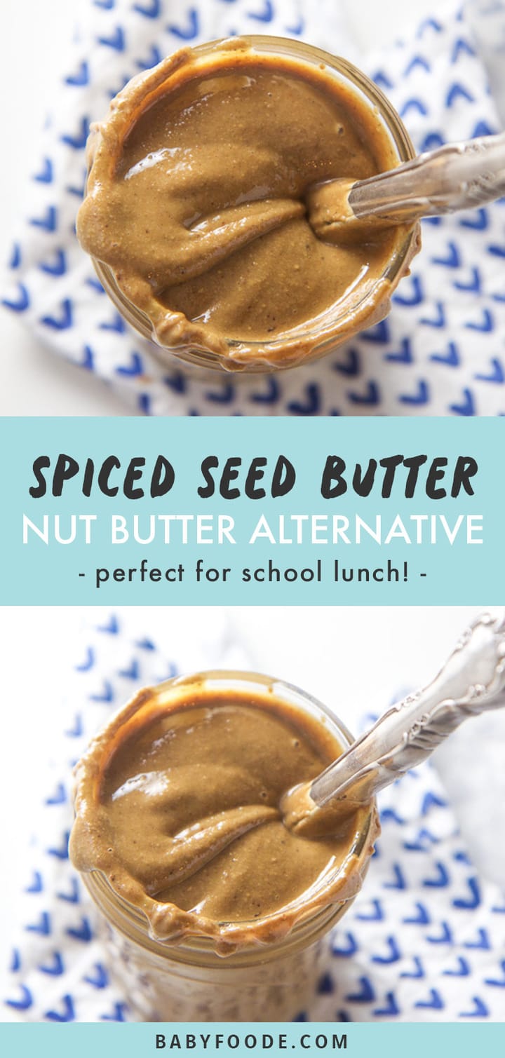 DIY Spiced Sunflower Seed Butter (super smooth) Baby Foode