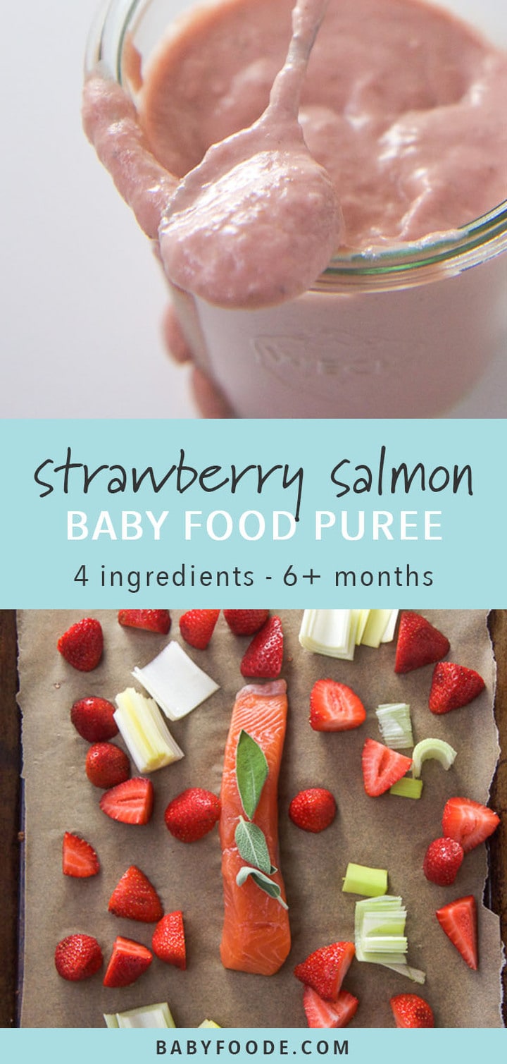 Roasted Strawberry + Salmon Baby Food Puree Baby Foode