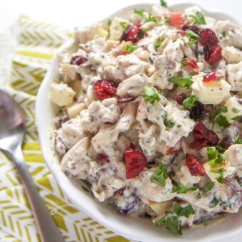 A bowl of healthy chicken salad with apples and cranberries for kids and toddlers.