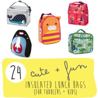 A graphic for the post - 24 insulated school lunch bags.