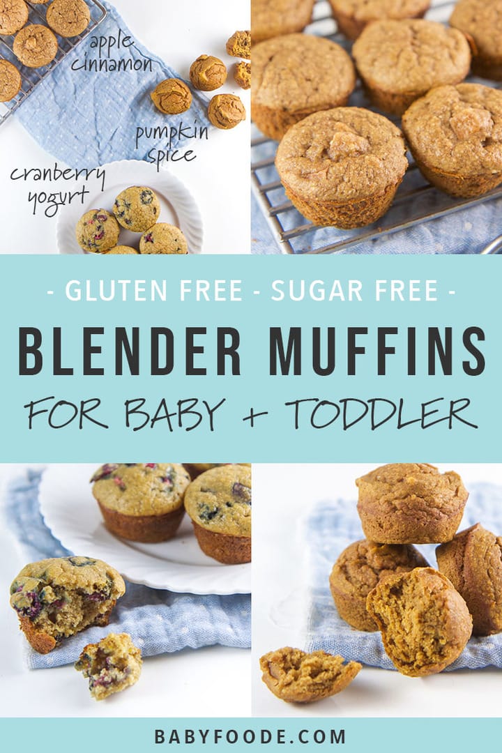 3 Fall Blender Muffins for Baby + Toddler Baby Foode