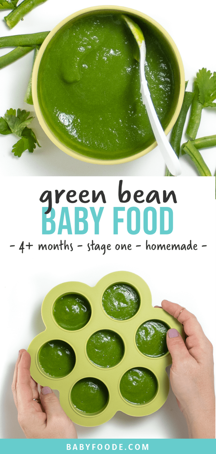 Green Bean Baby Food (Stage One) Baby Foode