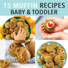Graphic for post - 15 muffin recipes for baby and toddler. Images are a grid of plates and small toddler hands holding muffins.
