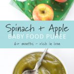 Spinach + Apple Baby Food Puree (rich in iron) - Baby Foode
