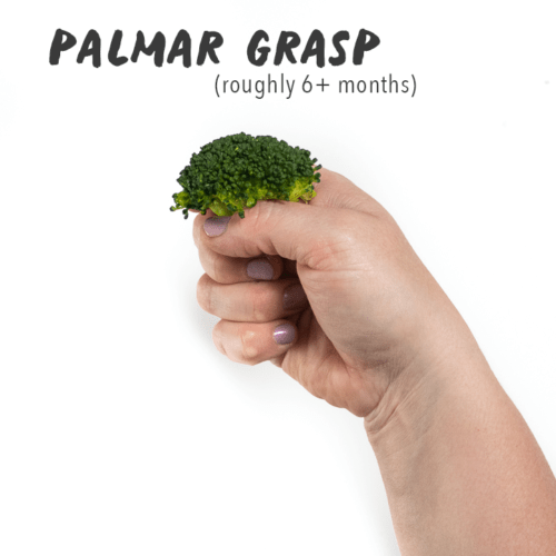 The Ultimate Guide to Finger Foods (Great for 9+ Months) - Baby Foode