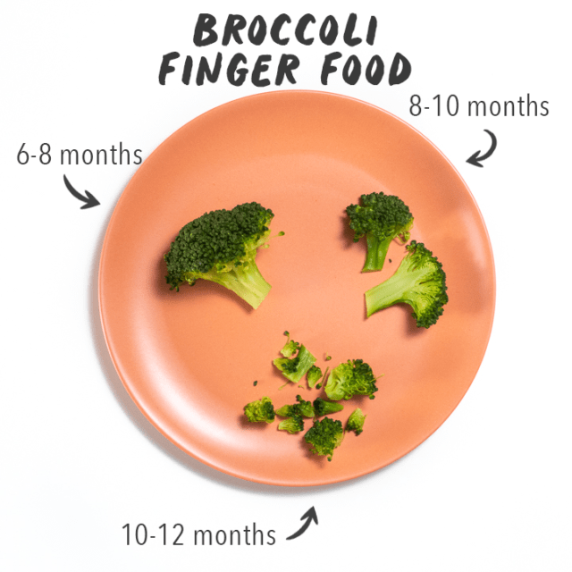 The Ultimate Guide to Finger Foods (Great for 9+ Months) - Baby Foode