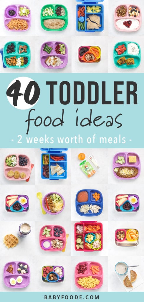 Graphic for post - 40 toddler food ideas - 2 weeks worth of meals. Images are a grid of colorful plates full of healthy toddler meals.