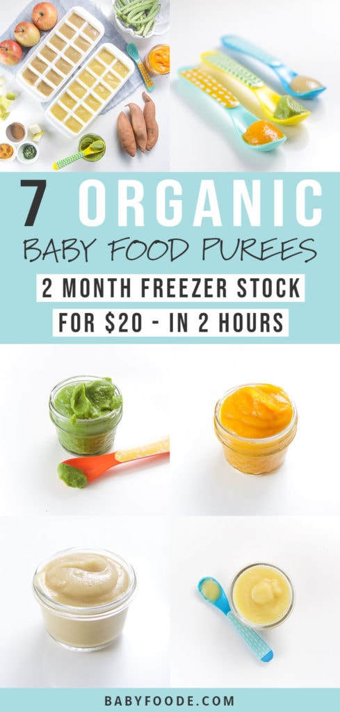 Pinterest image for a collection of frugal organic starter baby purees.