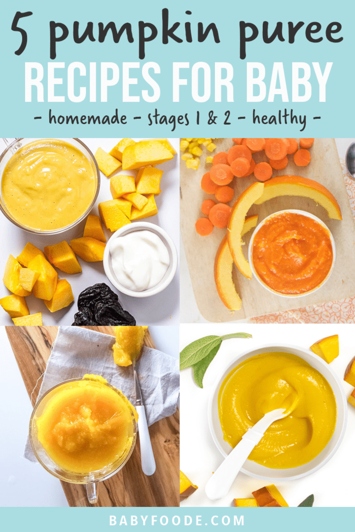 5 Pumpkin Puree Recipes for Baby (stage 1 & 2) Baby Foode