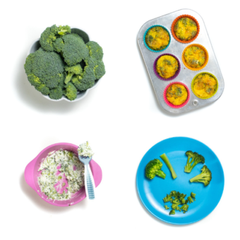 Grid of 4 photos - colorful plates and bowls with broccoli for baby.