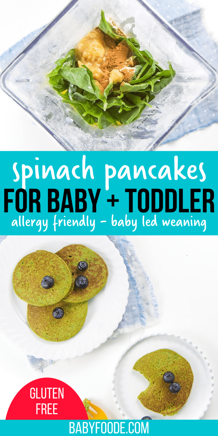 15Minute Fluffy Spinach Pancakes for Babies & Toddlers Baby Foode