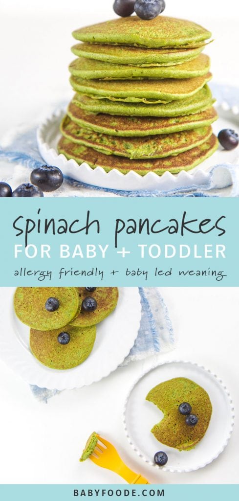 A stack of healthy gluten free blender spinach pancakes, and kid friendly spinach pancakes on a plate.