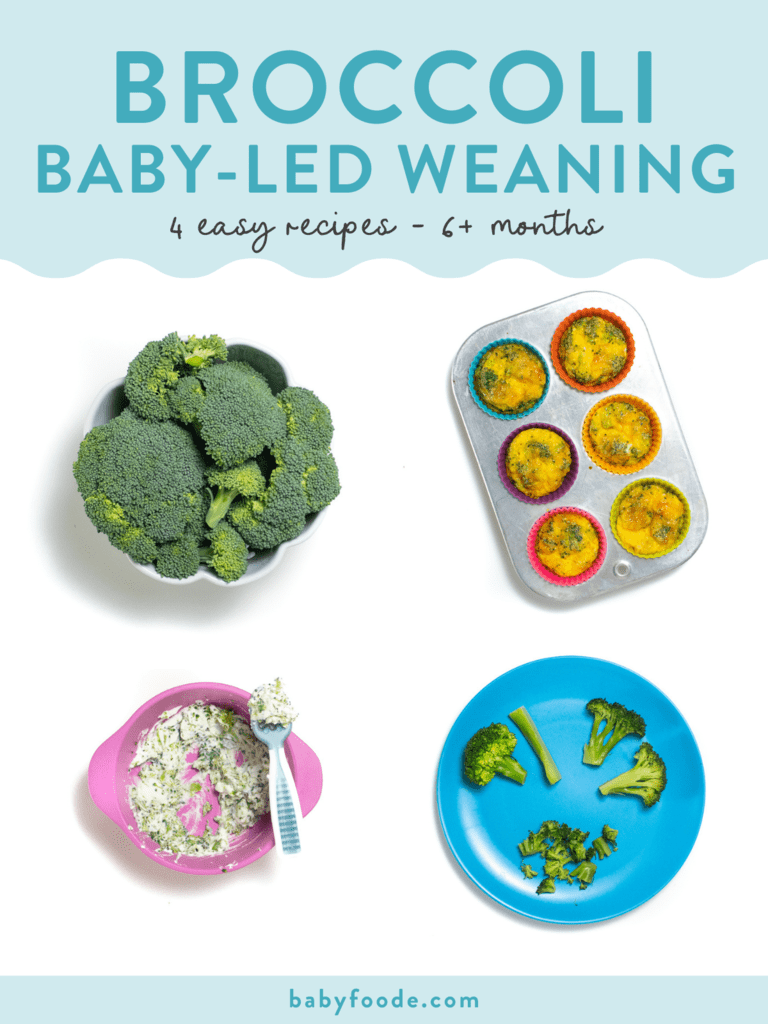 Graphic for post - broccoli baby-led weaning - 4 easy recipes - 6+ months. Images are in a grid with colorful baby plates. 