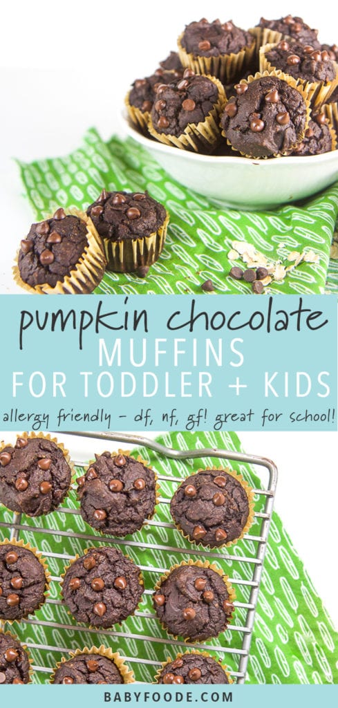 Pinterest image for allergy friendly pumpkin chocolate muffins.