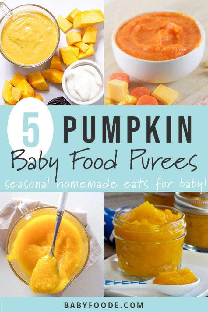Graphic for post - 5 pumpkin baby food purees with a grid of images of bowls full of baby purees.