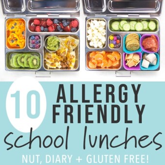 A collage of gluten free, dairy free, and nut free school lunch boxes for kids and toddlers.