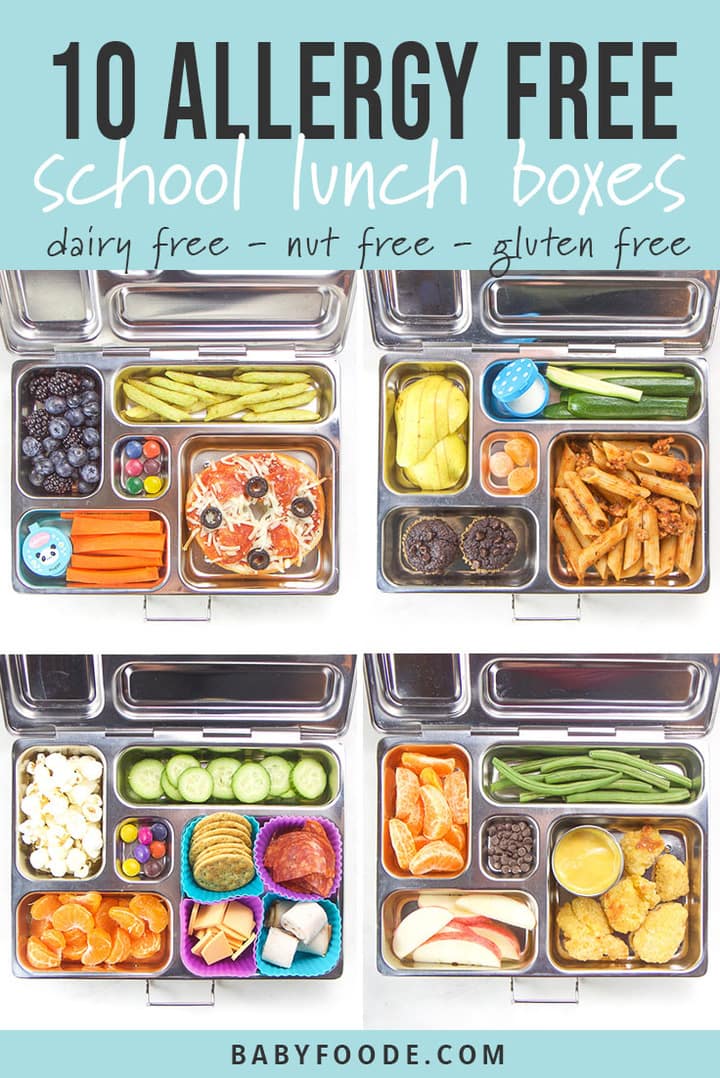 A collage of gluten free, dairy free, and nut free school lunch boxes for kids and toddlers.