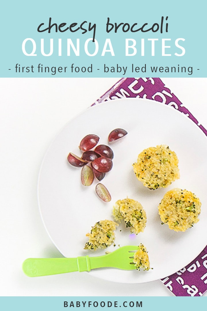 Cheesy Broccoli Quinoa Bites for Toddler (easy lunch idea!) Baby Foode