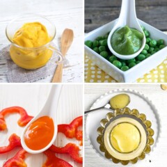 Grid of four vegetable only baby food purees.