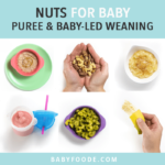 Nuts for baby - puree and baby-led weaning. Images in a grid of how to introduce baby to nuts.