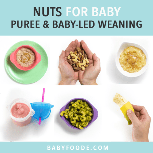 Nuts for Baby 10 Safe Ways (purees & babyled weaning) Baby Foode