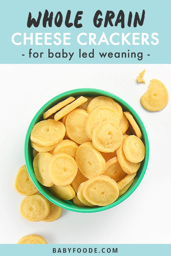 Healthy Cheese Crackers for Baby + Toddler (Easy to Make!) Baby Foode