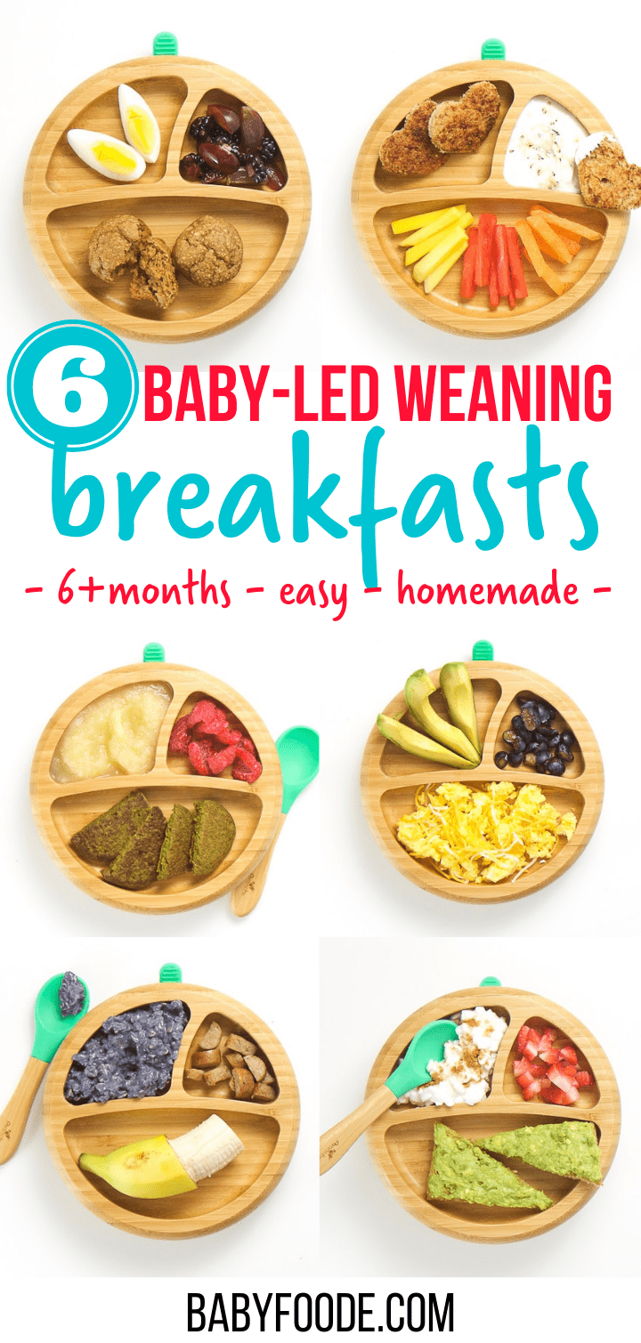 6 Baby-Led Weaning Breakfast Ideas (Easy to Make!) - Baby Foode